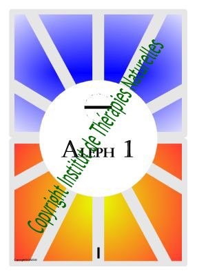 I ALEPH La d�cision