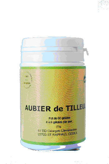 Aubier de Tilleul
