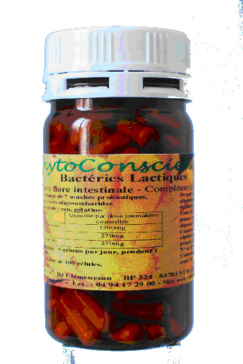 Bact�ries Lactiques Vivantes