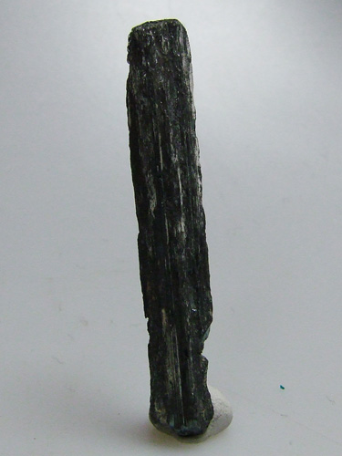 Stibine - B�ton de 7/8 cm selon arrivage
