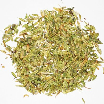 Fenouil (Foeniculum vulgare)