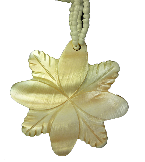 Collier coquillage nouvelle vague - Lotus